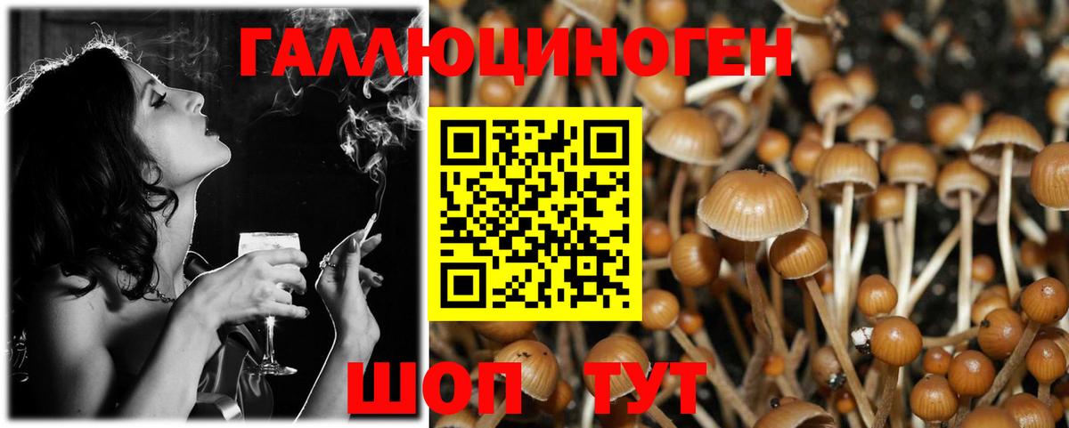 Псилоцибиновые грибы Дятьково